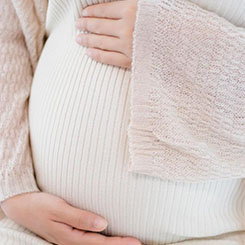 ▲俄科🗨👀技公司研发的🌐“半机械🇲🇾鸽子无人机” 😶据报道，该项目🍟🎿